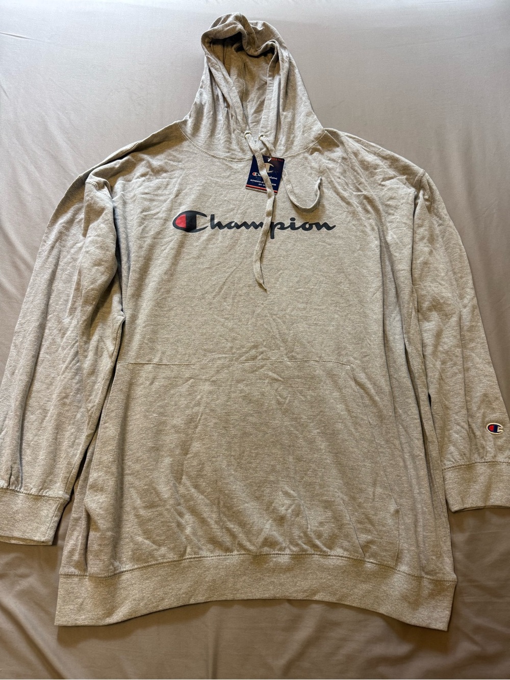 Champion Men's Light Gray Pullover Hoodie